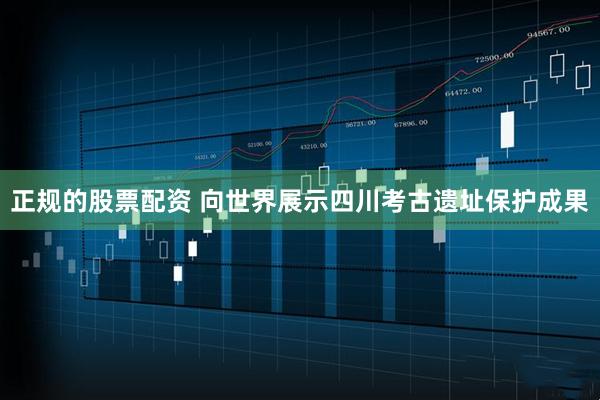 正规的股票配资 向世界展示四川考古遗址保护成果
