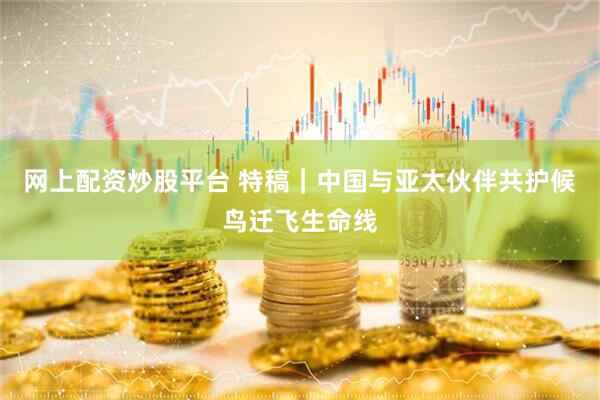 网上配资炒股平台 特稿｜中国与亚太伙伴共护候鸟迁飞生命线