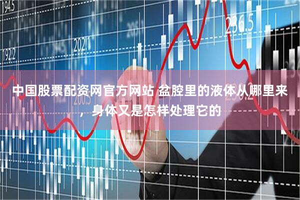中国股票配资网官方网站 盆腔里的液体从哪里来，身体又是怎样处理它的